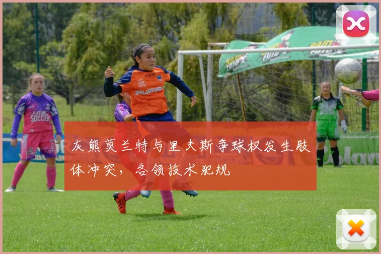 灰熊莫兰特与里夫斯争球权发生肢体冲突,各领技术犯规
